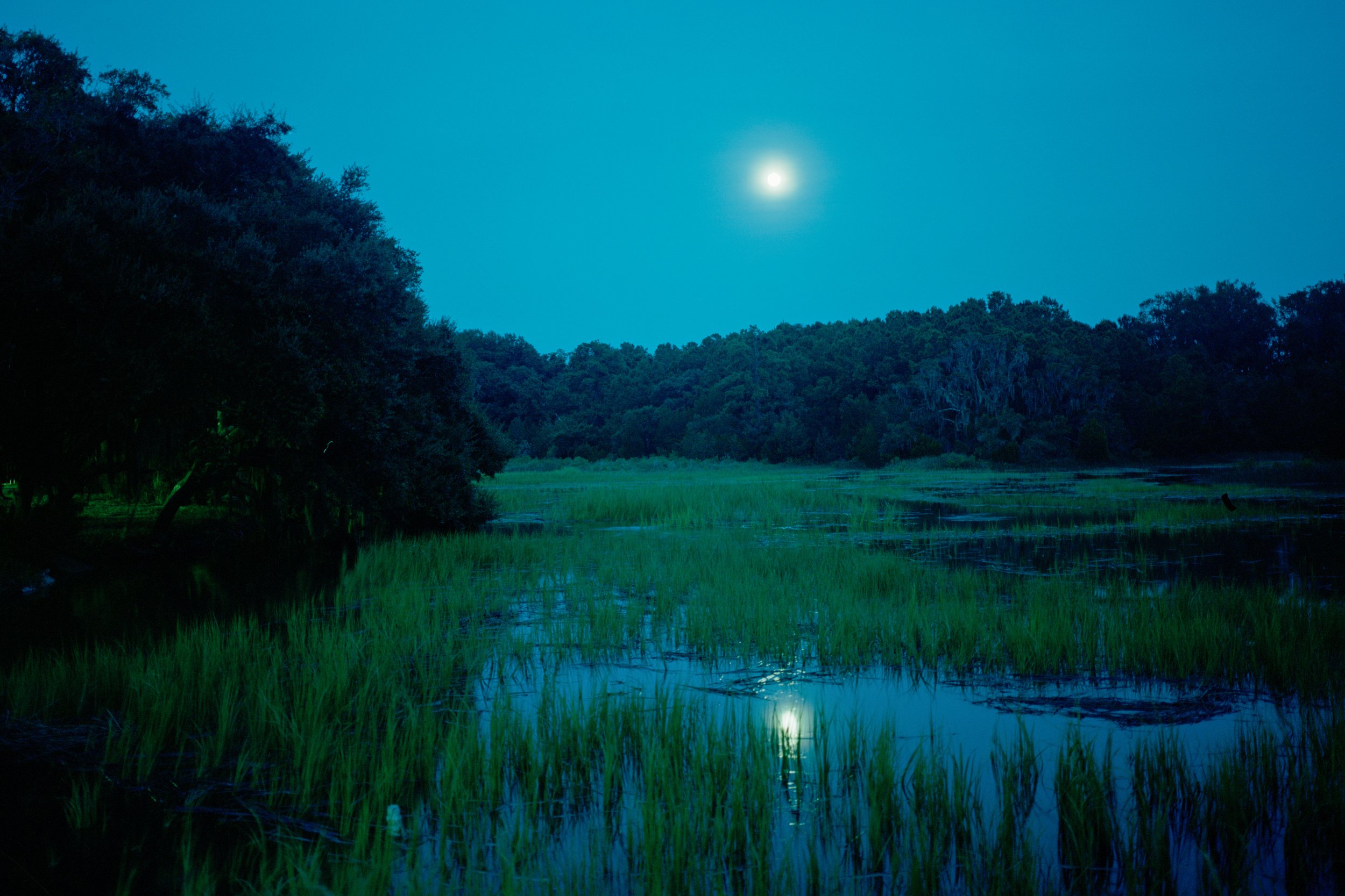 Moonlight over the marsh on St Helena Island