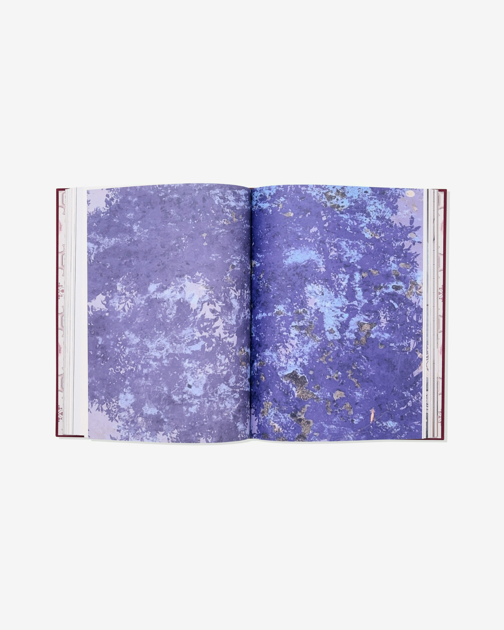 Open book showing a blue and purple deteriorated surface photograph.