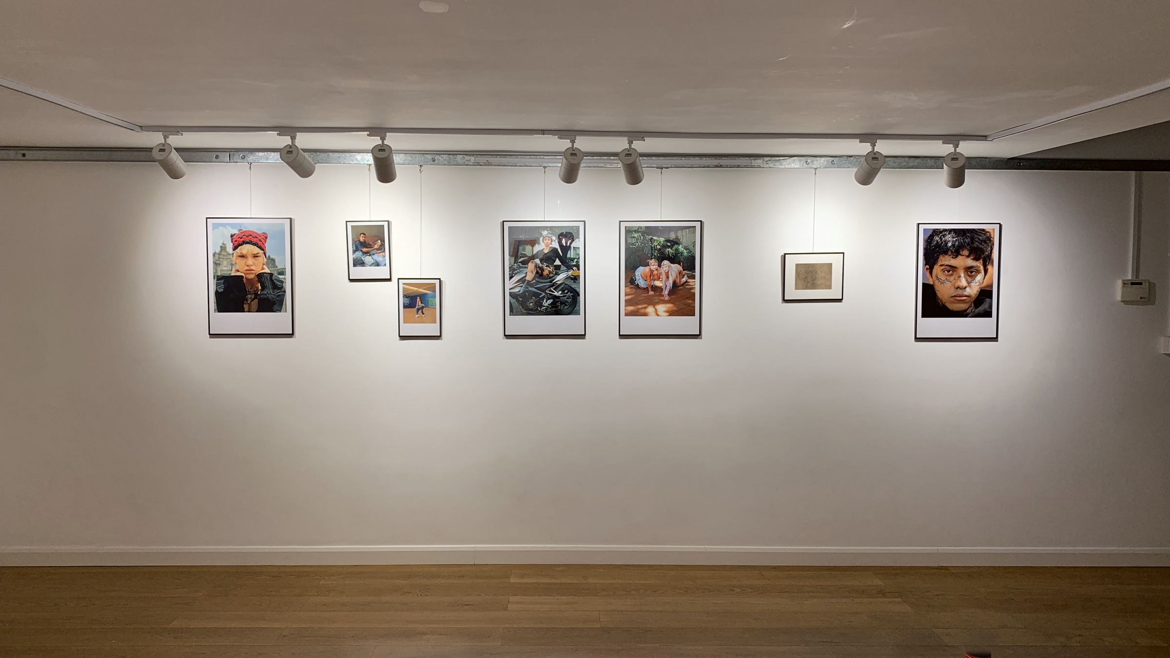 A wall sequence of framed photographs from A Caged Dog Barks the Fiercest at Allotment.