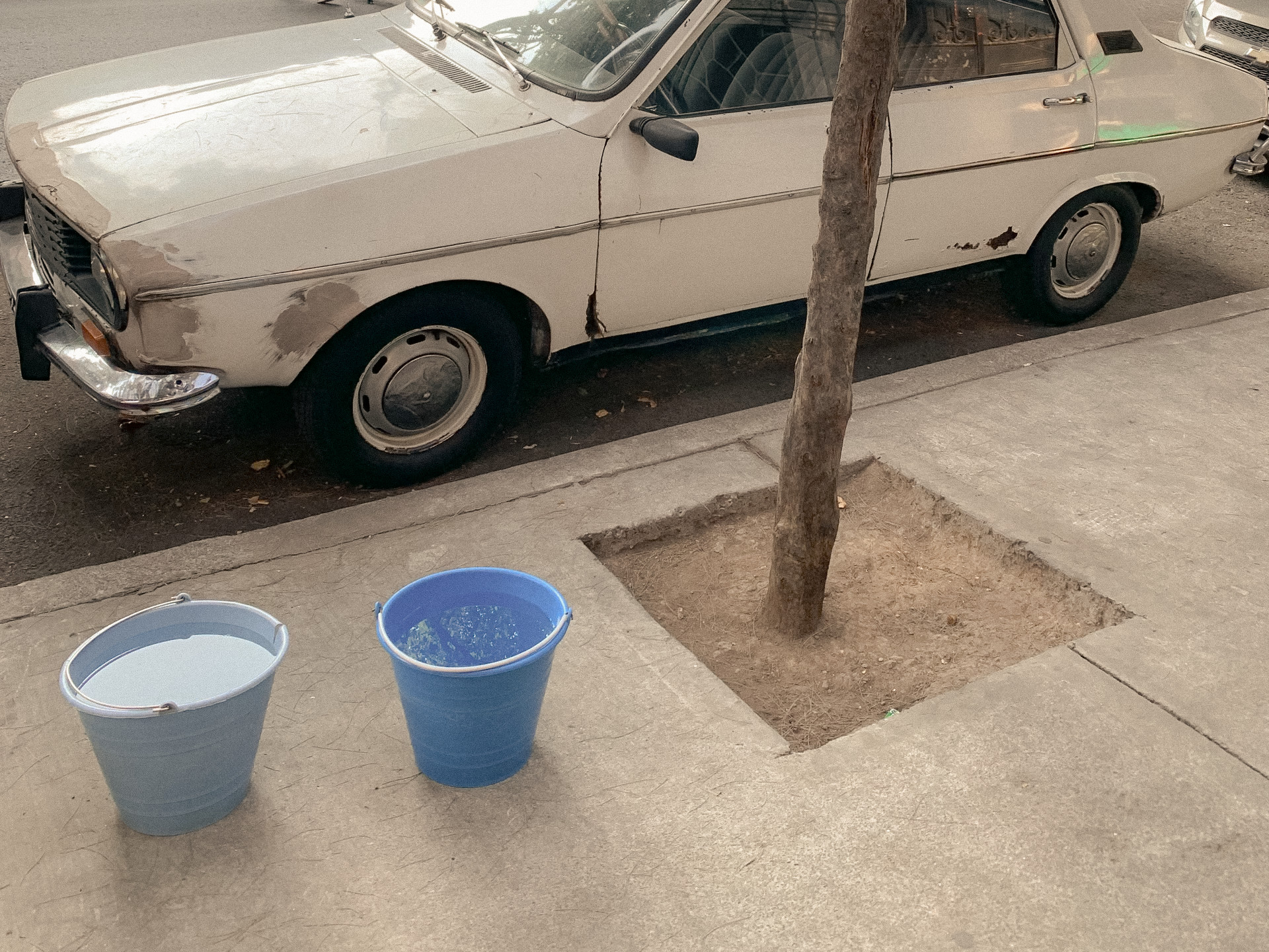 A white car, a street tree and two water buckets seen from above, Mexico City, 2024.