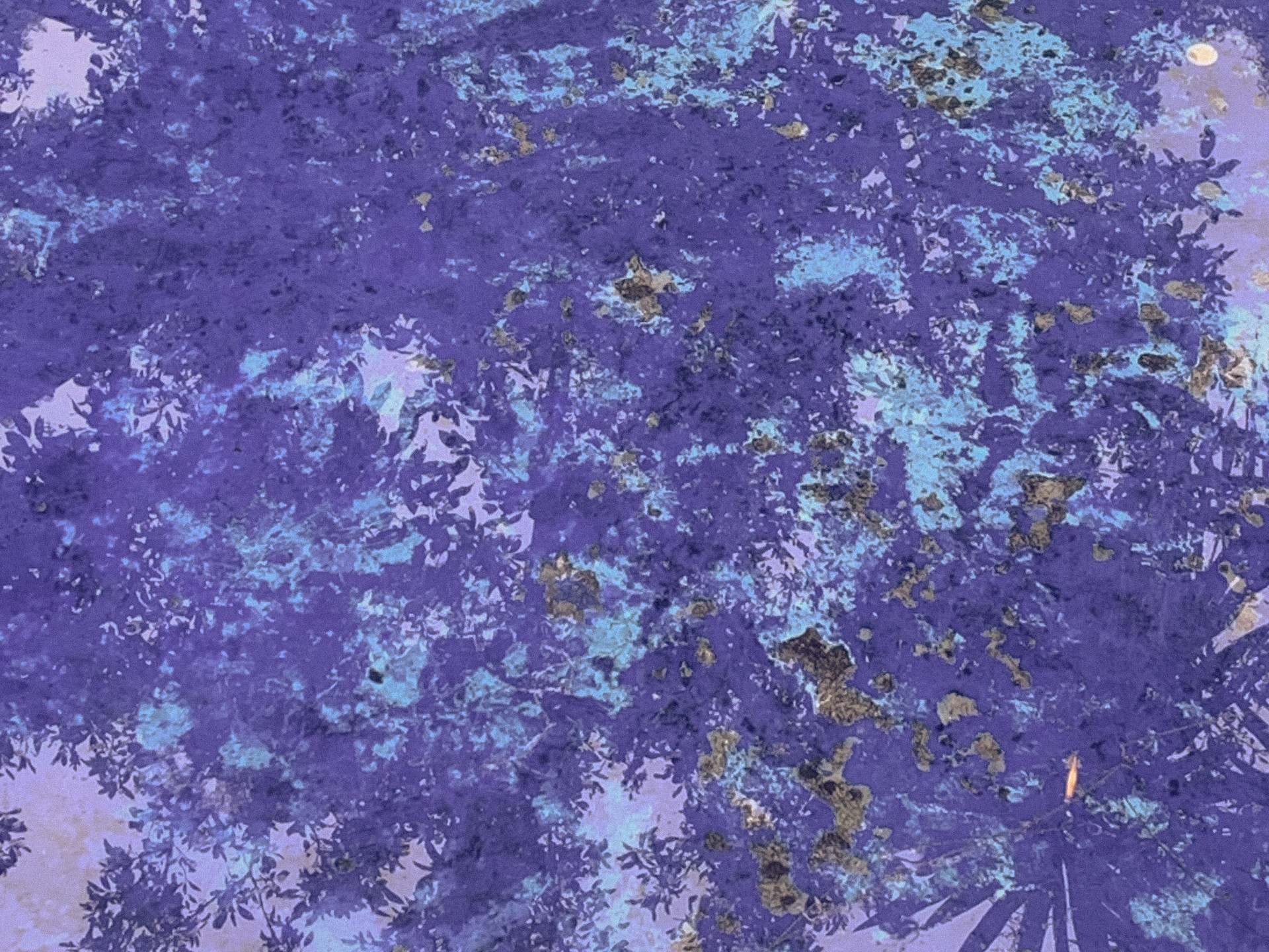 Close detail of a deteriorated purple and blue painted surface, Mexico City, 2024.
