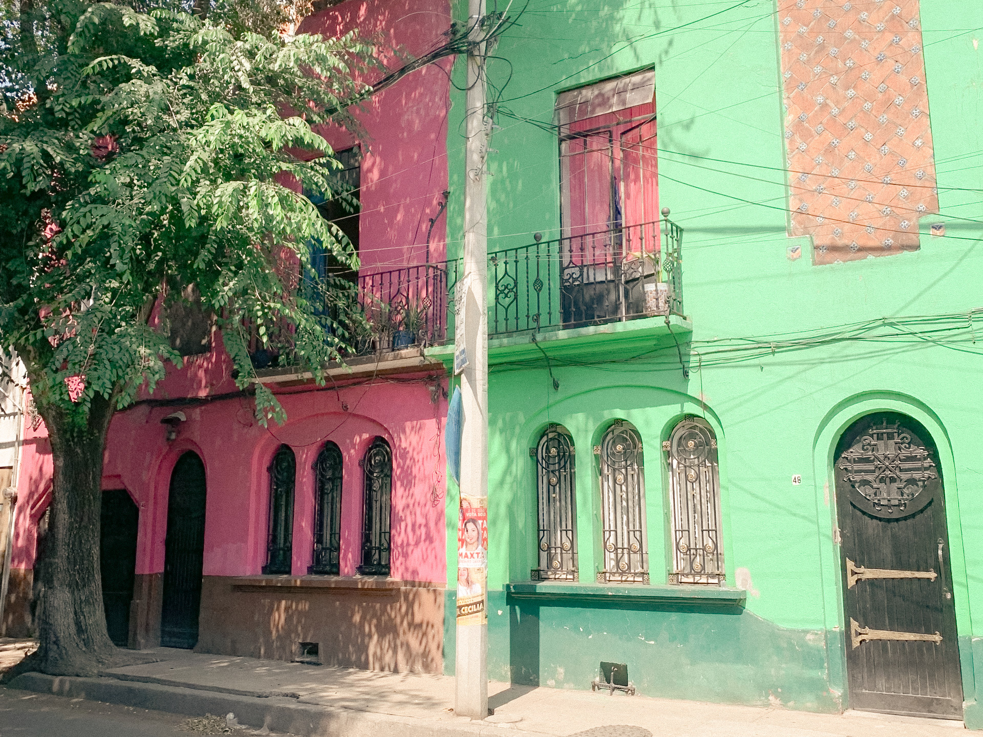 Adjacent pink and green building facades with trees and balconies, Mexico City, 2024.