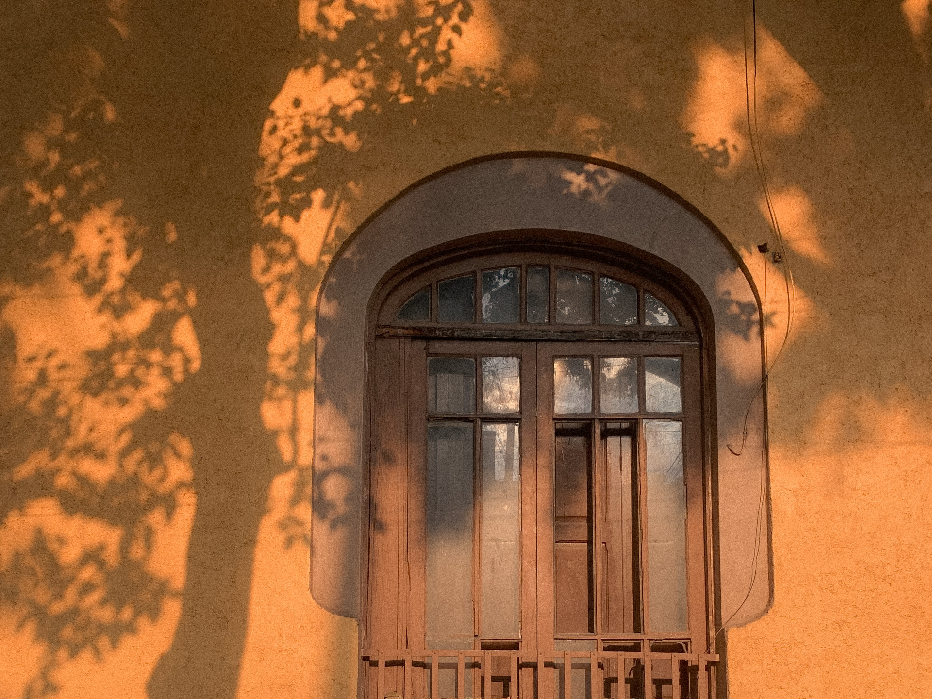 Tree shadows fall across an arched door and amber wall, Mexico City, 2024.