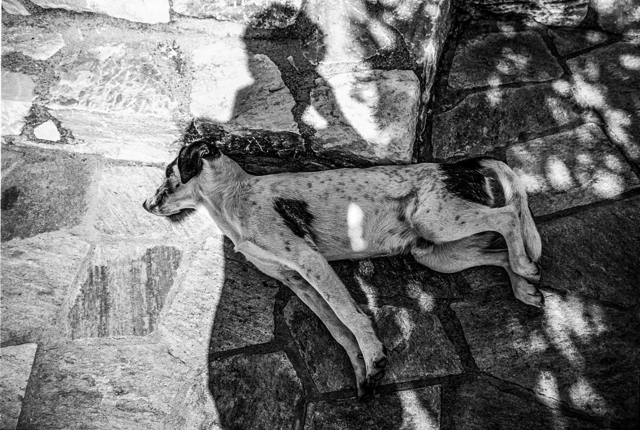 Black-and-white photograph: shadows of people falling across a stone wall.