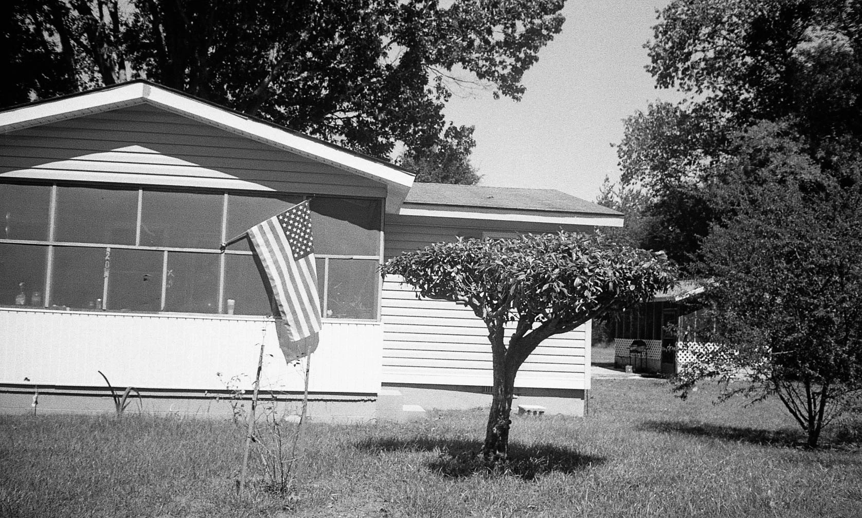 Black-and-white photograph: a house with a flag and a clipped tree.