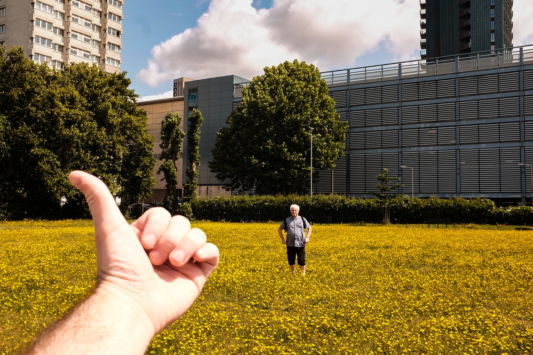 Pointing hand above meadow.