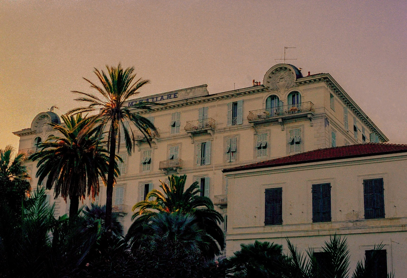 Palm trees outside hotel.