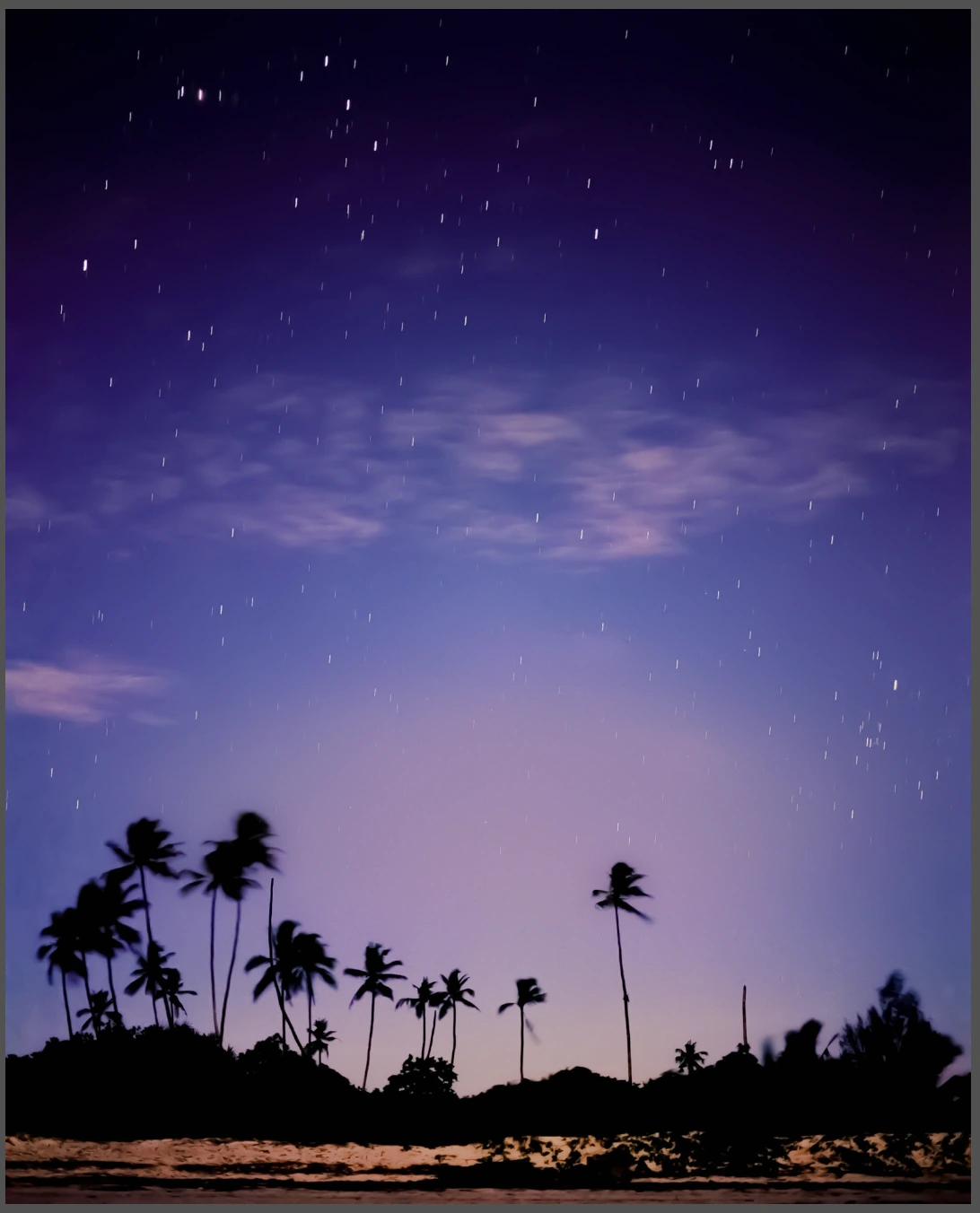 Palm silhouettes at twilight.