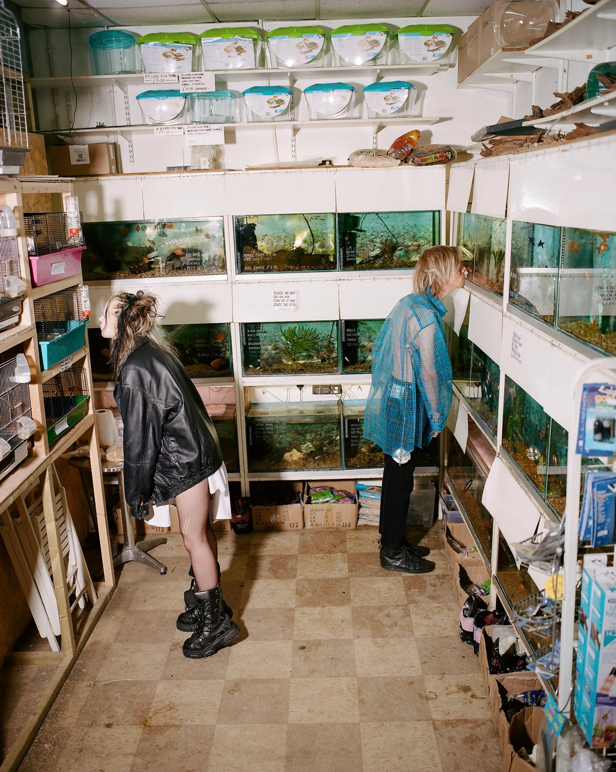 Youths in aquarium shop.