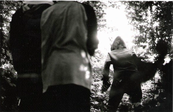 Two people beneath trees.