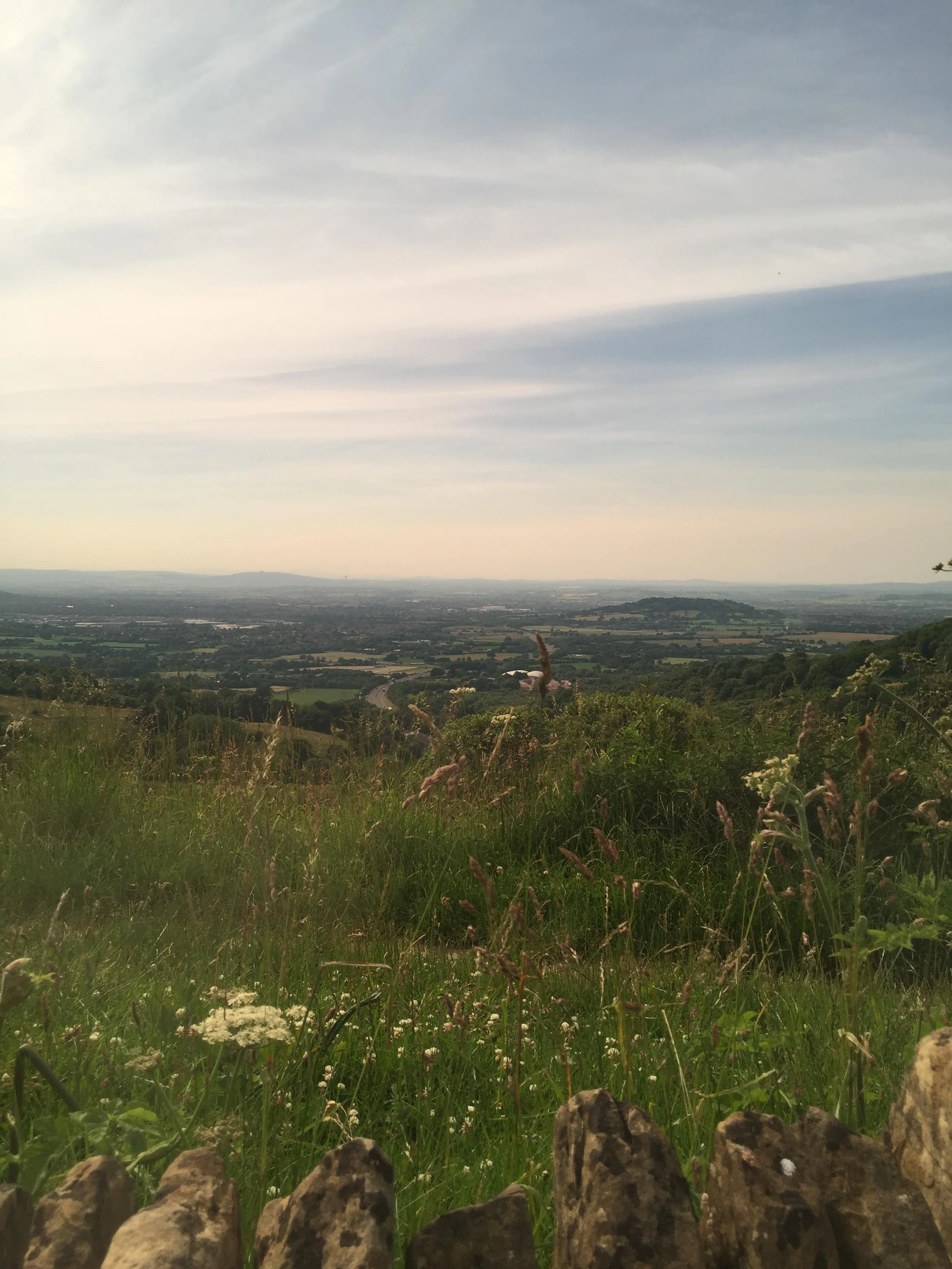Grassy hillside and distant landscape.