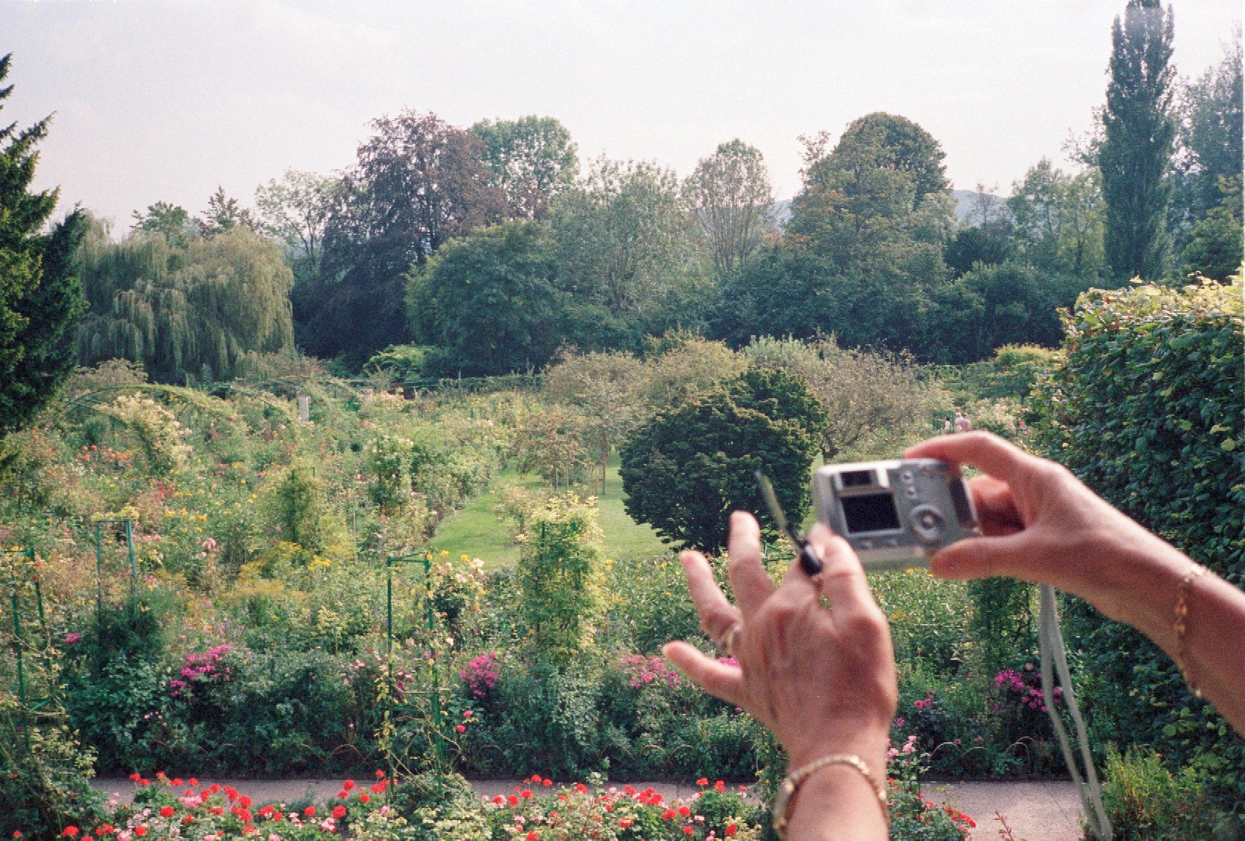 Hands photographing garden.