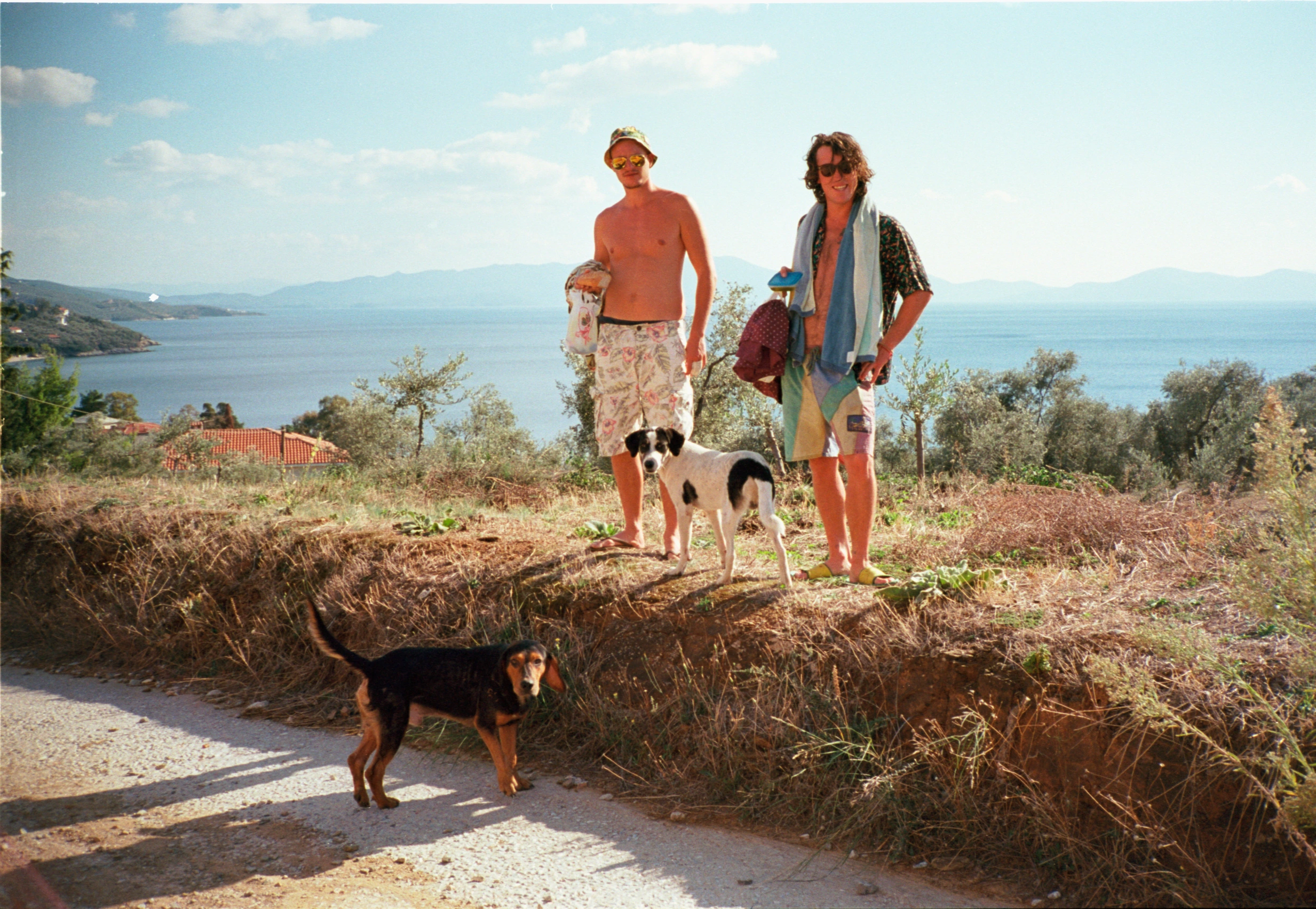 Couple with dogs above coast.