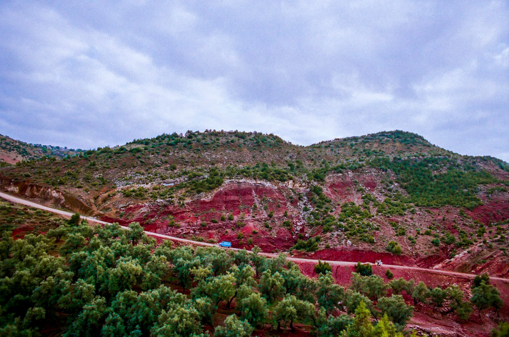 Red hillside and green scrub.