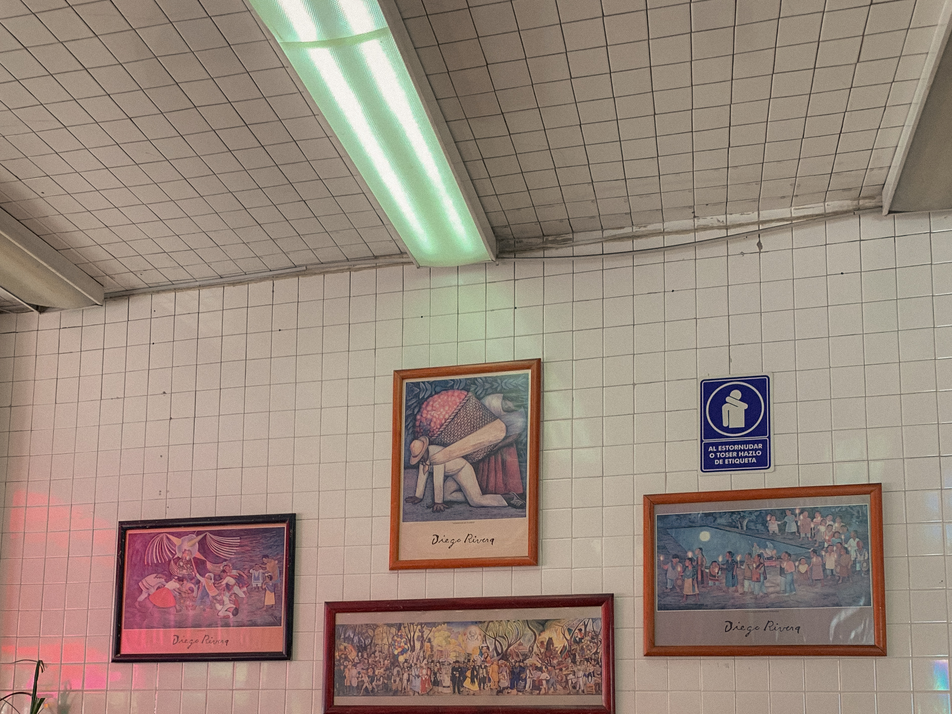 Pictures hanging beneath a fluorescent light in a tiled room.